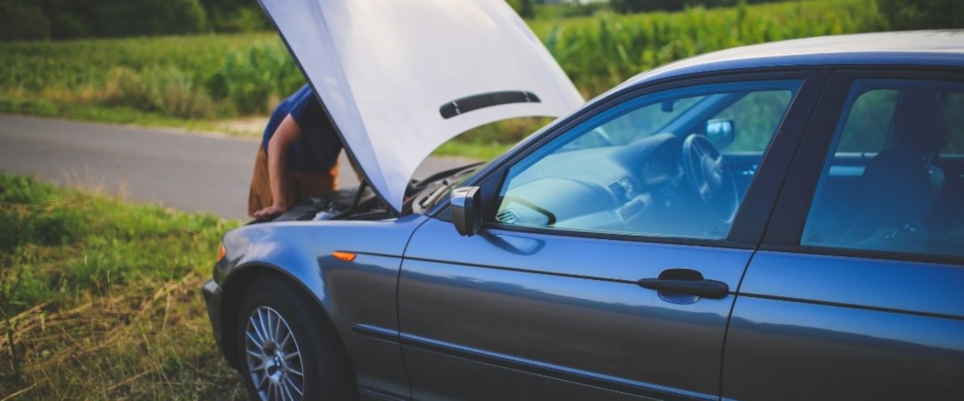 Factors that Affect Auction Prices